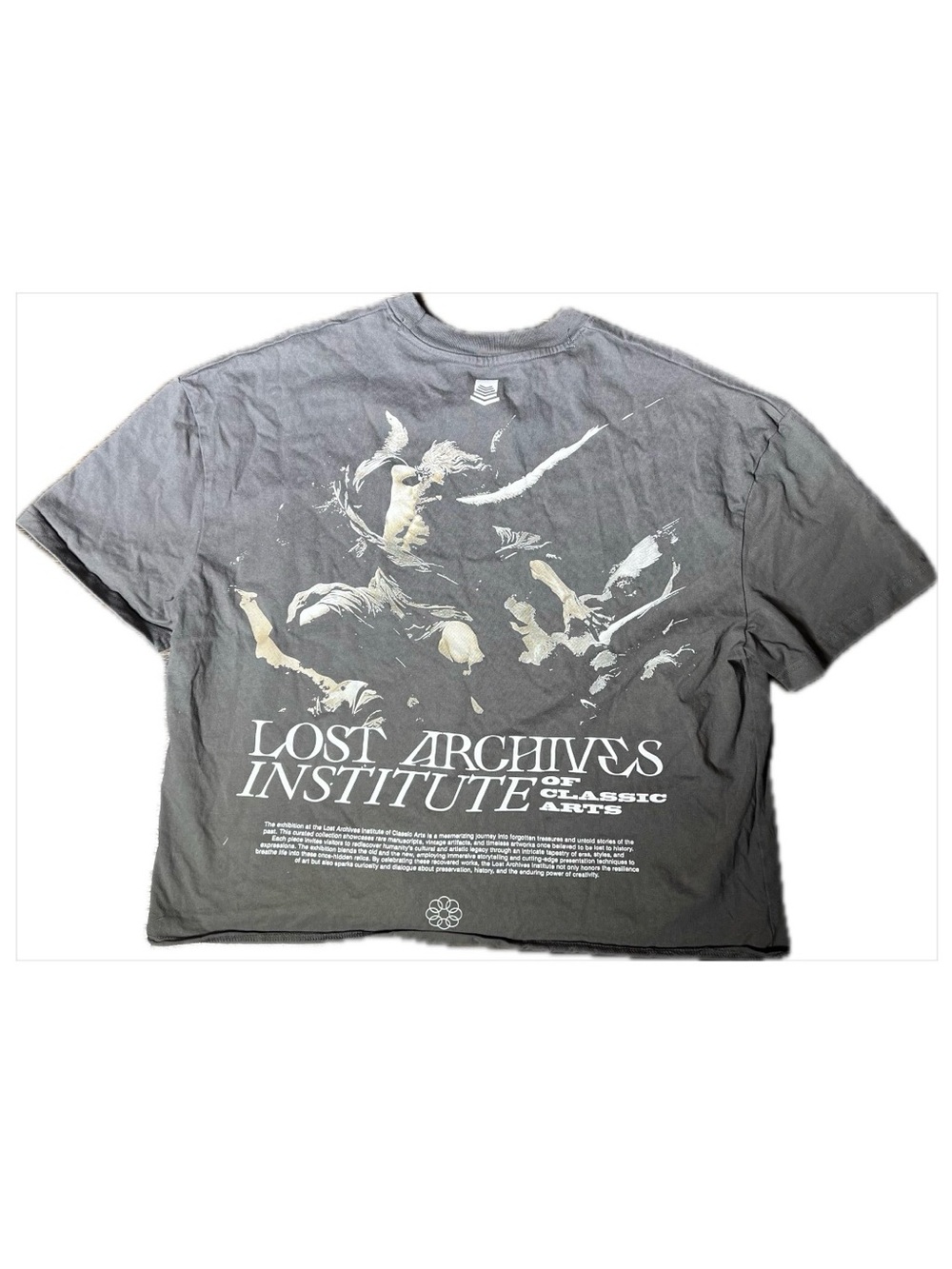 PacSun “Lost Archives Institute of Classic Arts” Vintage-Washed Gray T-Shirt M